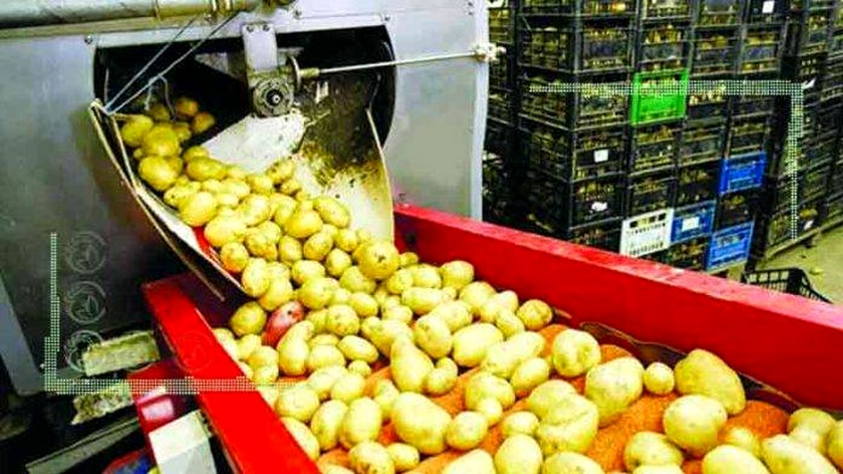 توسعه صنایع راهی برای کاهش ضایعات کشاورزی