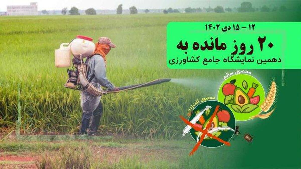 ریل‌گذاری واردات؛ مانع رشد تولید داخلی