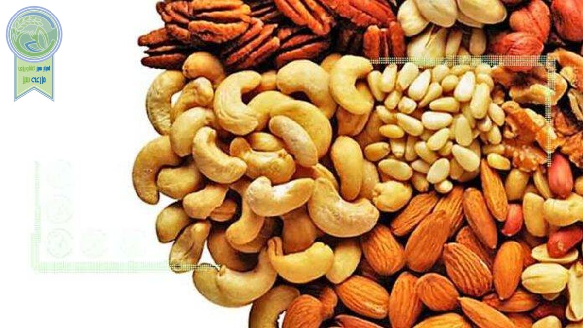 قیمت‌ آجیل در میادین میوه و تره‌بار چند؟