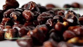 قیمت خرما در میادین میوه و تره بار تهران اعلام شد