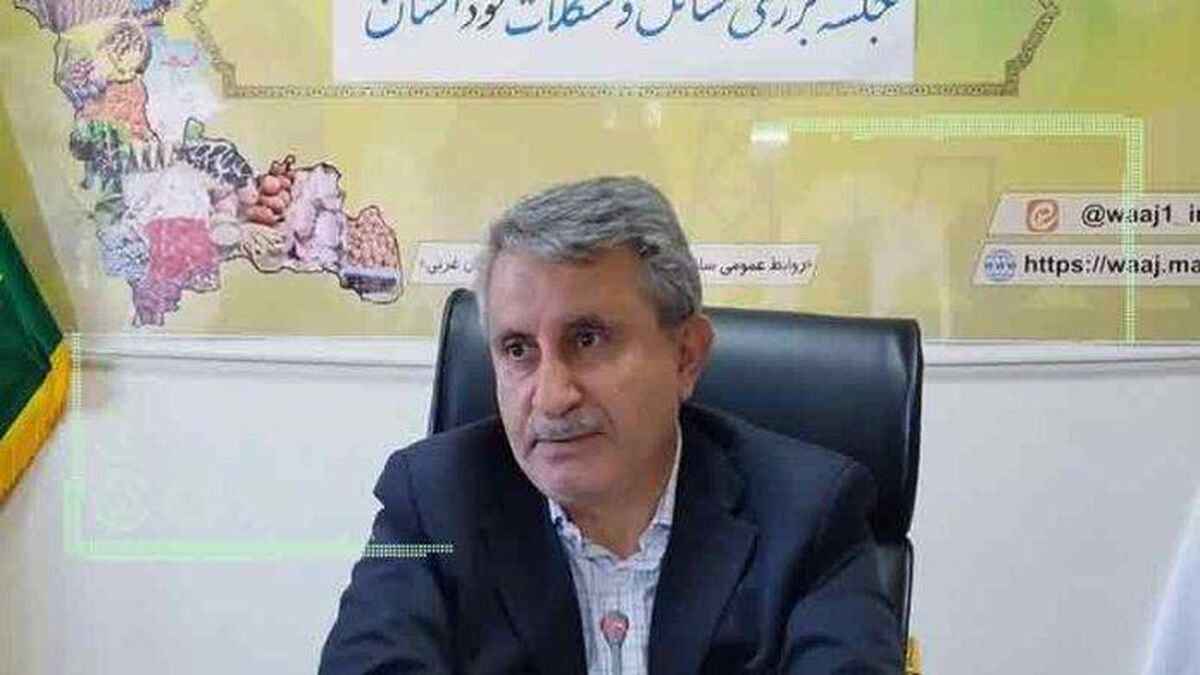 افزایش ۳ برابری تولید محصولات با اصلاح بذر