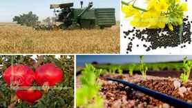 خط قرمز تامین غذای سالم و کافی است