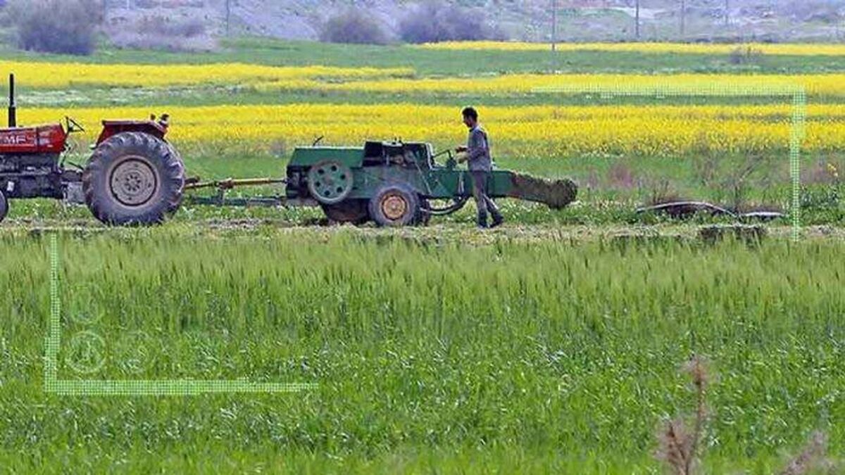 اجرای مصوبه الگوی کشت با تامین ۳۰ همت اعتبار