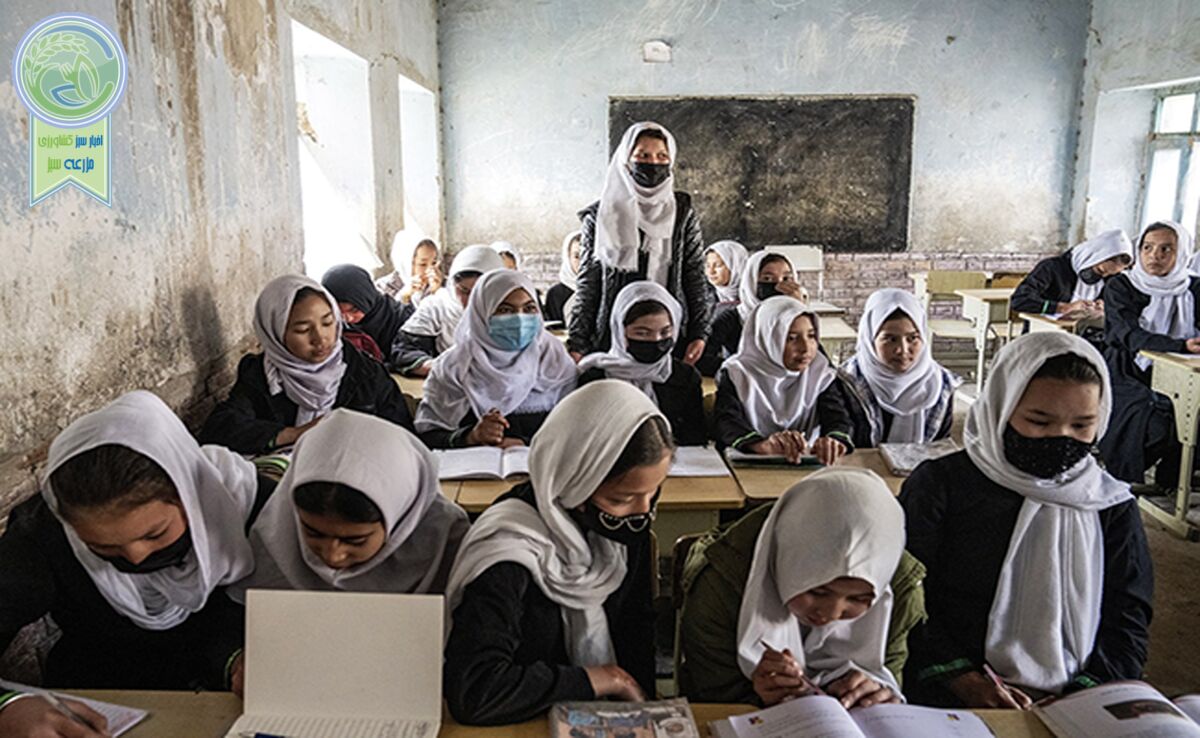 تأمین مدارس در افغانستان، کشت جلبک دریایی در آمریکا، خشکسالی در سومالی