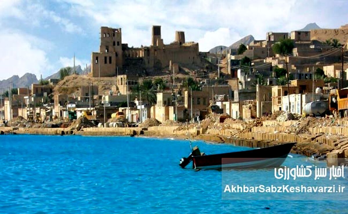 سیراف در آستانه جهانی‌شدن؛ پاییز امسال سرنوشت تعیین می‌شود