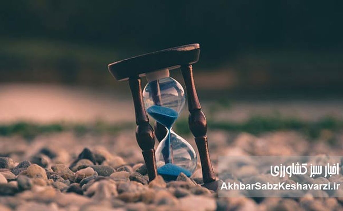 رقص زندگی با نوای مرگ+ ویدئو
