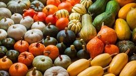 کدو حلوایی و تقویت سیستم ایمنی بدن