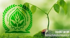 سازمان نظام مهندسی کشاورزی پاسخگو باشد: ابهاماتی در پرونده تعرفه‌های جعلی