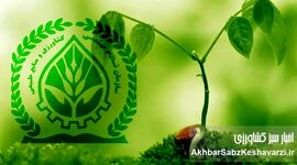 سازمان نظام مهندسی کشاورزی پاسخگو باشد: ابهاماتی در پرونده تعرفه‌های جعلی