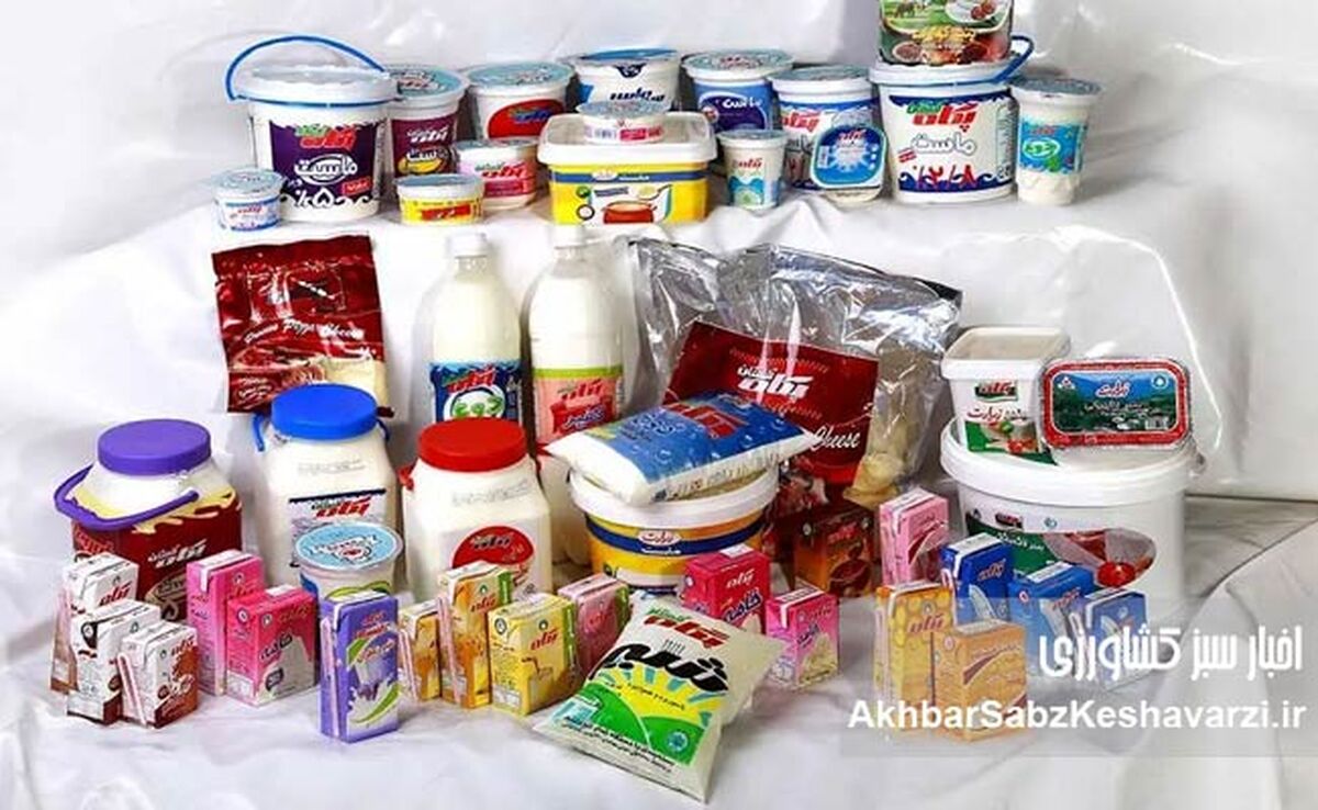 سقوط مصرف لبنیات در ایران؛ هشدار درباره سوءتغذیه، پوکی استخوان و کالابرگ اختصاصی لبنیات