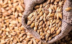 قیمت نهاده های دامی و محصولات کشاورزی ۳۱ اردیبهشت ۱۴۰۳+ جدول

