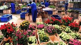 نمایشگاه بین‌المللی IFTEX2024 نایروبی، رویدادی بزرگ برای افزایش دانش

