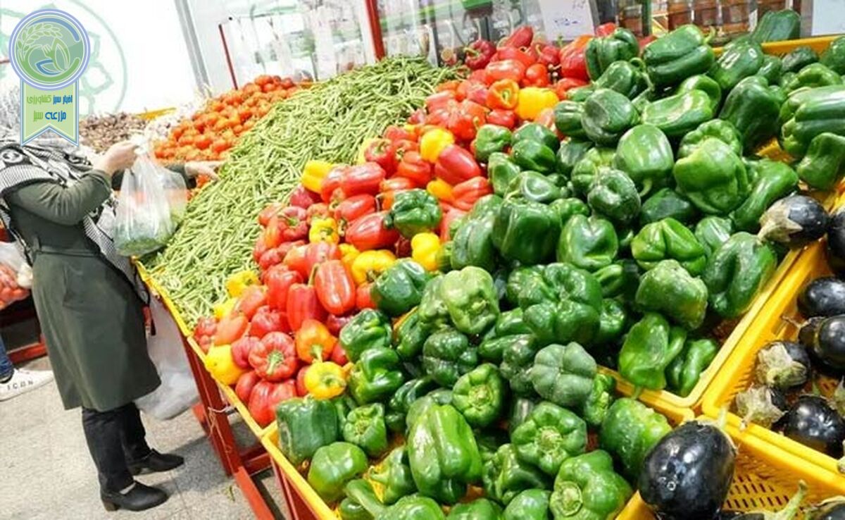 سرمای هوا و افزایش قیمت برخی صیفی‌جات

