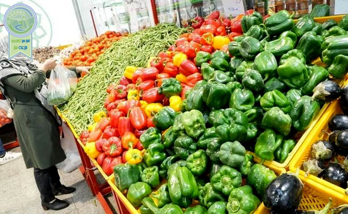 سرمای هوا و افزایش قیمت برخی صیفی‌جات

