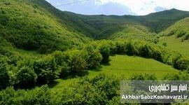 شکایت بین‌المللی حمله به سازمان منابع طبیعی پیگیری می‌شود
