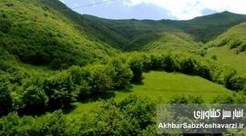 شکایت بین‌المللی حمله به سازمان منابع طبیعی پیگیری می‌شود
