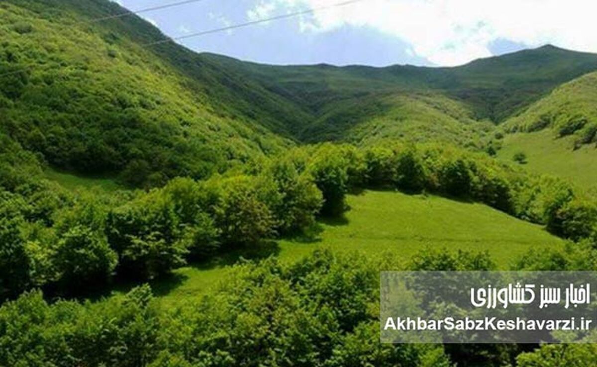 اثرات یک تجاوز؛ فاجعه انسانی و تخریب خاموش طبیعت ایران