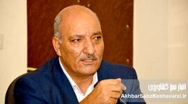 فاجعه در مزارع: چگونه قطعی برق کشاورزی، زندگی گندم‌کاران را می‌سوزاند؟+ ویدئو