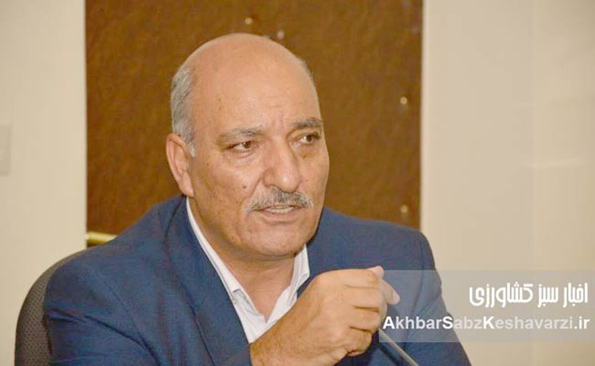 فاجعه در مزارع: چگونه قطعی برق کشاورزی، زندگی گندم‌کاران را می‌سوزاند؟+ ویدئو