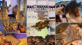 فروش آنلاین گوشت‌های عجیب و خطرناک