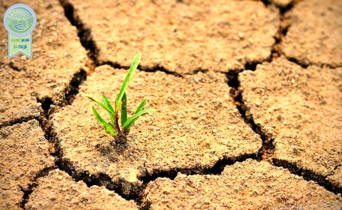 هر کسی آن دِرَوَد عاقبت کار که کِشت

