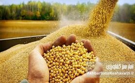 داد و فغان رسانه های حکومتی از فساد سیستماتیک در وزارت جهاد کشاورزی