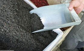 روسیه مقصد نخست چای ایرانی

