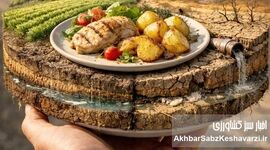 غذایی که می‌خوریم؛ ردپایش بر خاک، آب و هوا
