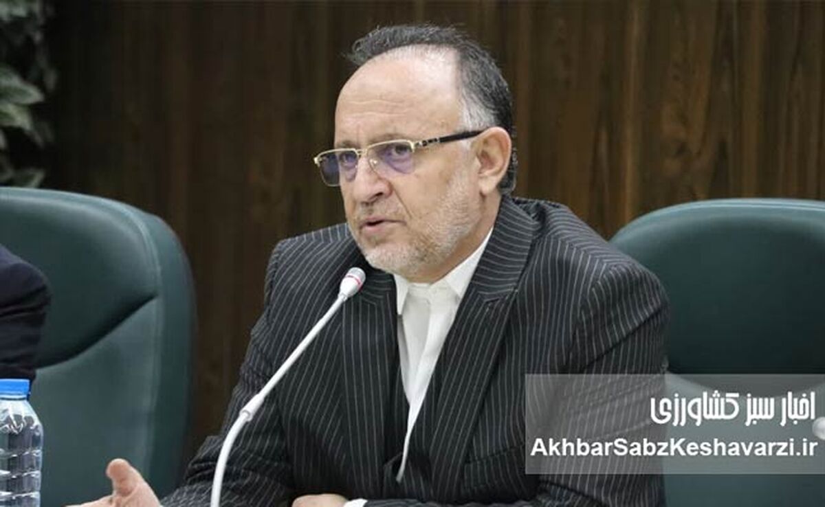 صنعت چوب و کاغذ مازندران در آستانه ورشکستگی / ضرورت اصلاح قانون «تنفس جنگل»