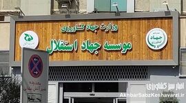 افشاگری درباره موسسه جهاد استقلال و کنسرسیوم خرید تجهیزات پزشکی با ارز؛ از برون‌سپاری واکس کفش تا امتیازات میلیاردی
