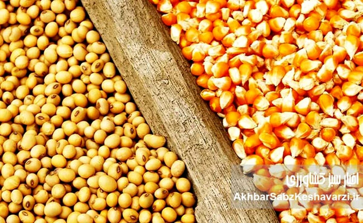 بازار نهاده‌ها در پیچ بزرگ؛ شفافیت یا شکل تازه‌ای از رانت؟