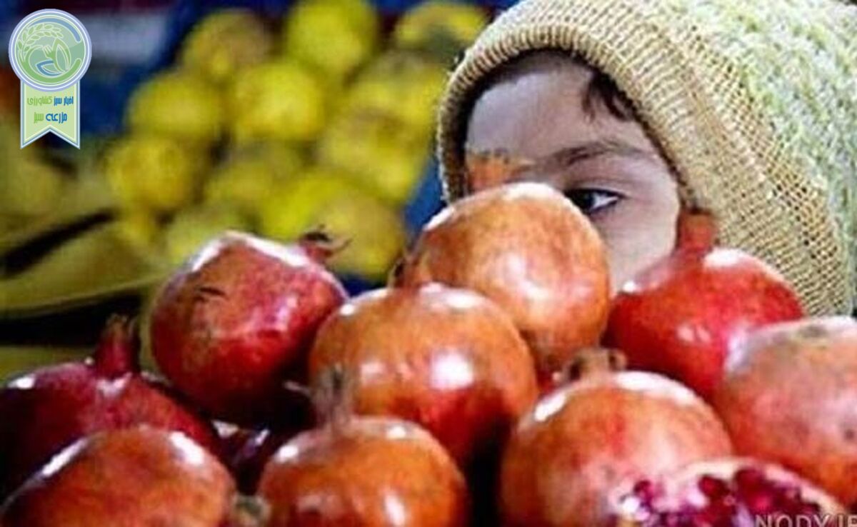 یلدا با طعم فقر


