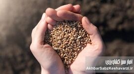 شاخص‌های نگران‌کننده کشاورزی ایران و آینده مبهم امنیت غذایی کشور