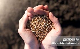 شاخص‌های نگران‌کننده کشاورزی ایران و آینده مبهم امنیت غذایی کشور