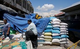 کاهش قیمت برنج با آغاز ثبت سفارش واردات

