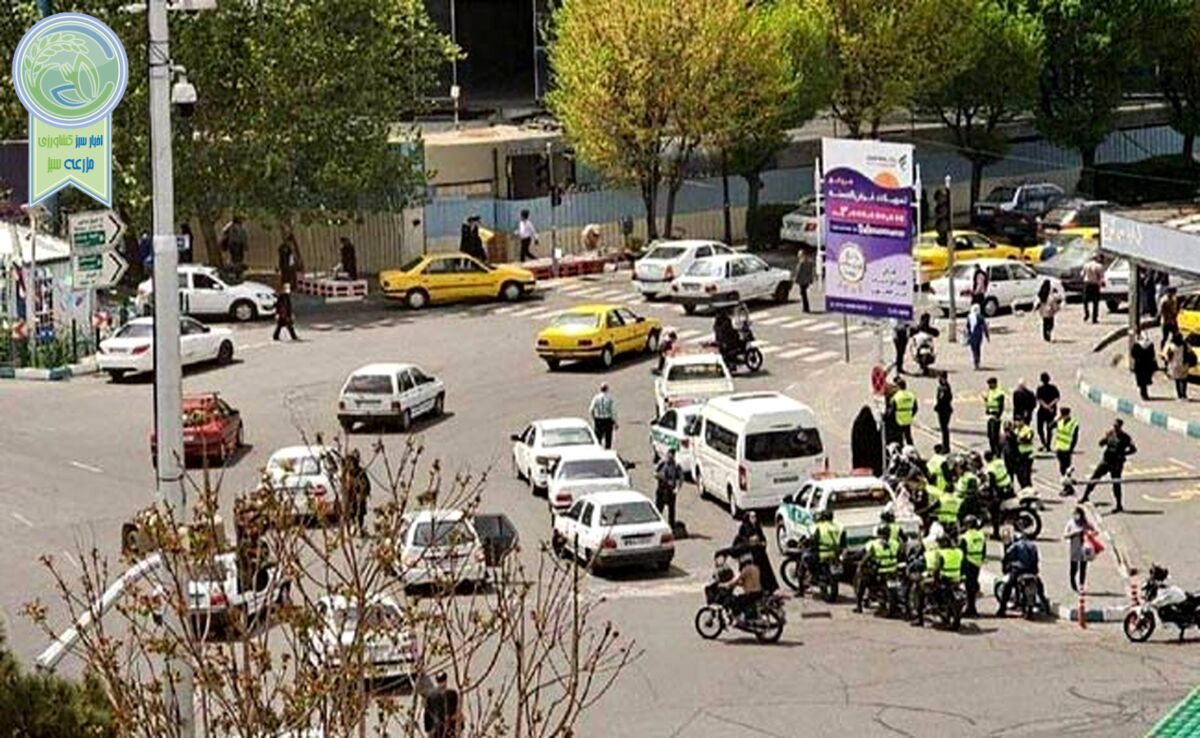 چه شد که بار دیگر ون‌ها بازگشتند؟

