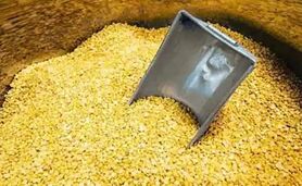 قیمت انواع نهاده های دامی و محصولات کشاورزی ۵ دی ۱۴۰۳
