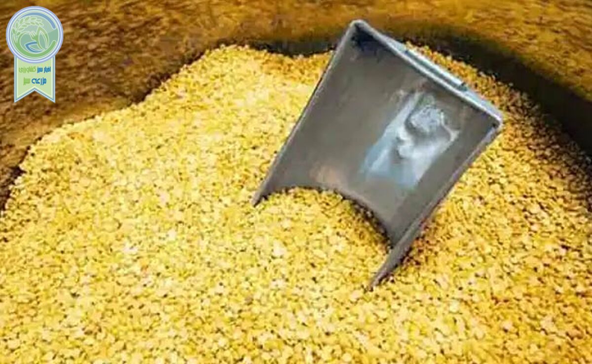 قیمت انواع نهاده های دامی و محصولات کشاورزی ۵ دی ۱۴۰۳
