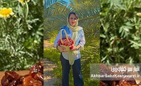 بانوی بوشهری تولیدکننده خرما؛ روایت عشق به کشاورزی و چالش‌های مسیر تولید
