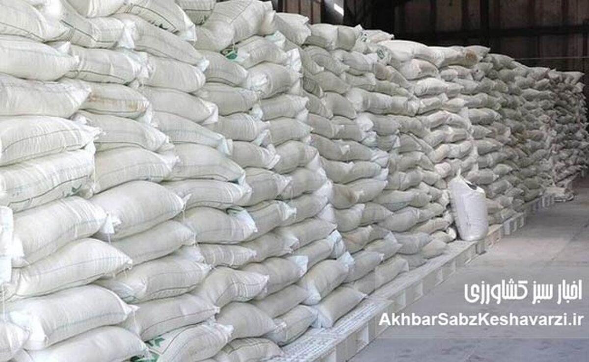 کشف انبار احتکار ۱۲۰ تن برنج وارداتی در جنوب تهران/ جریمه ۷ میلیارد تومانی برای افزایش قیمت