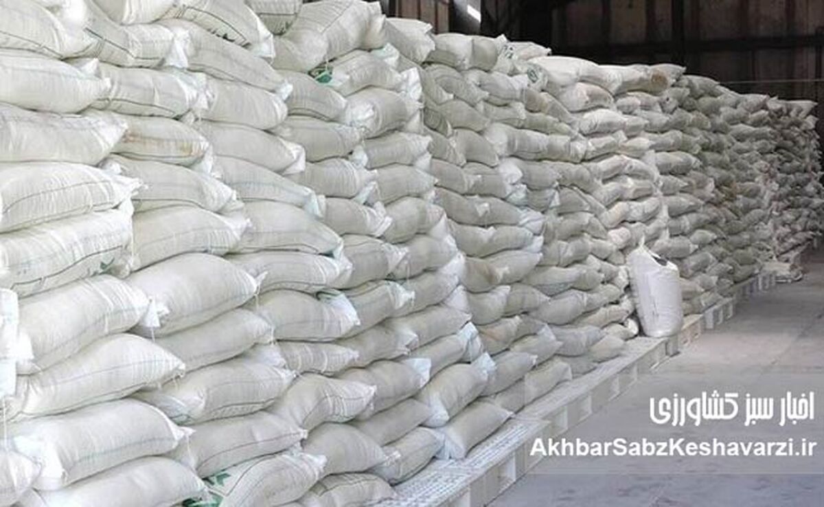 کشف انبار احتکار ۱۲۰ تن برنج وارداتی در جنوب تهران/ جریمه ۷ میلیارد تومانی برای افزایش قیمت