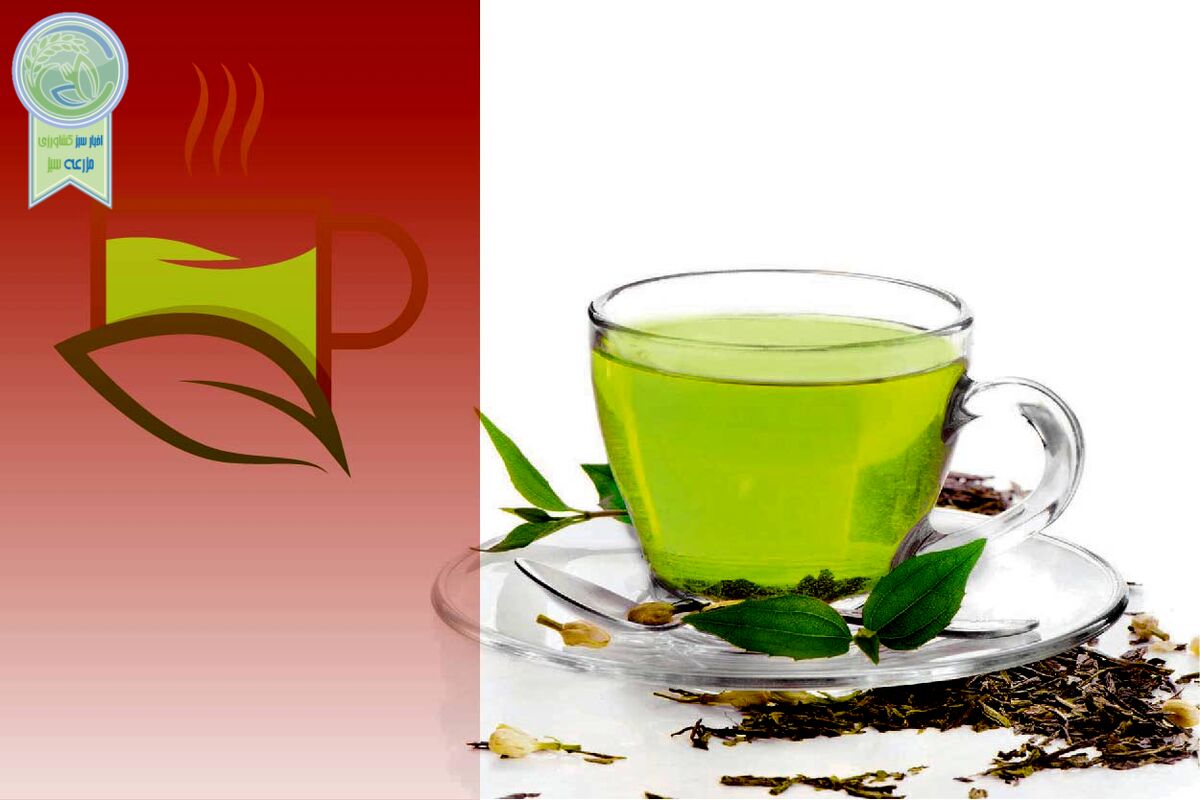 چای سبز  را به ‌اندازه بخورید

