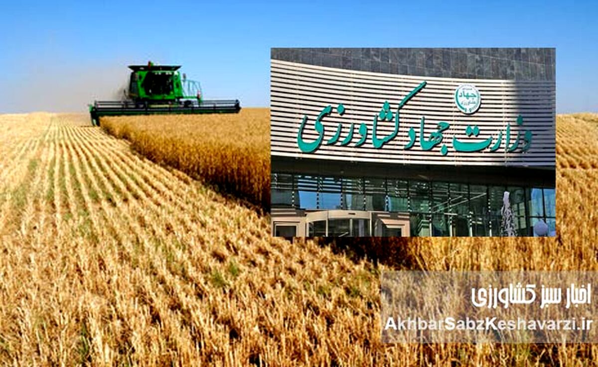 کشاورزان امنیت غذایی کشور را برقرار کردند