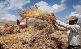رونمایی از سامانه کشت قراردادی تا پایان سال

