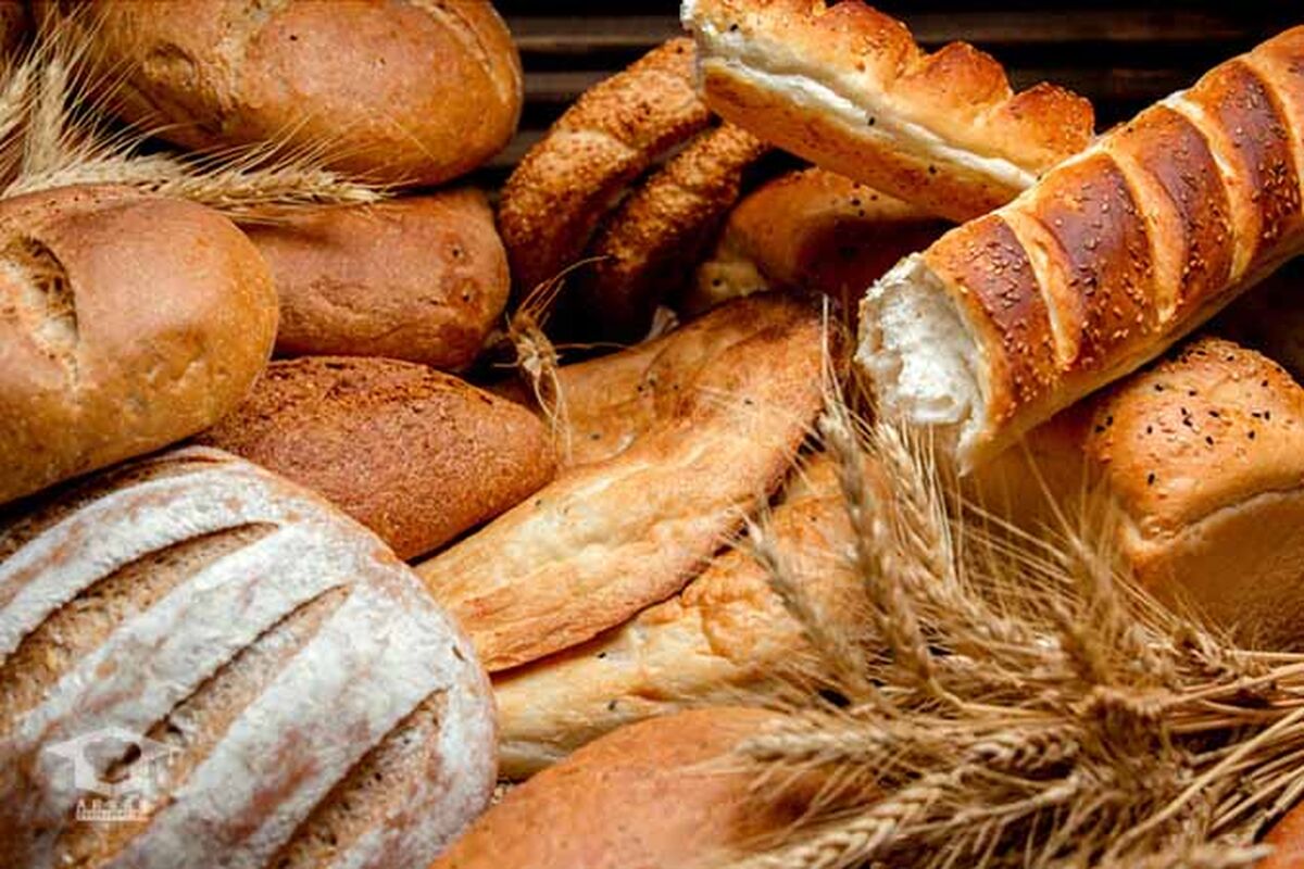 نان صنعتی یا سنتی؛ بررسی سلامت، کیفیت و چالش سبوس‌گیری نان 