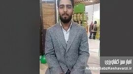 روایت ویتا سیب از چای میوه‌ای ایرانی+ ویدئو