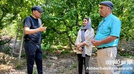 فراتر از مزرعه: نقش شگفت‌انگیز زنان در کشاورزی و باغداری ایران+ ویدئو