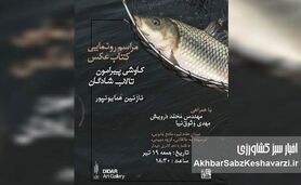 رونمایی از کتاب عکس «سایه‌های شادگان»؛ روایت تالابی در آستانه تغییر