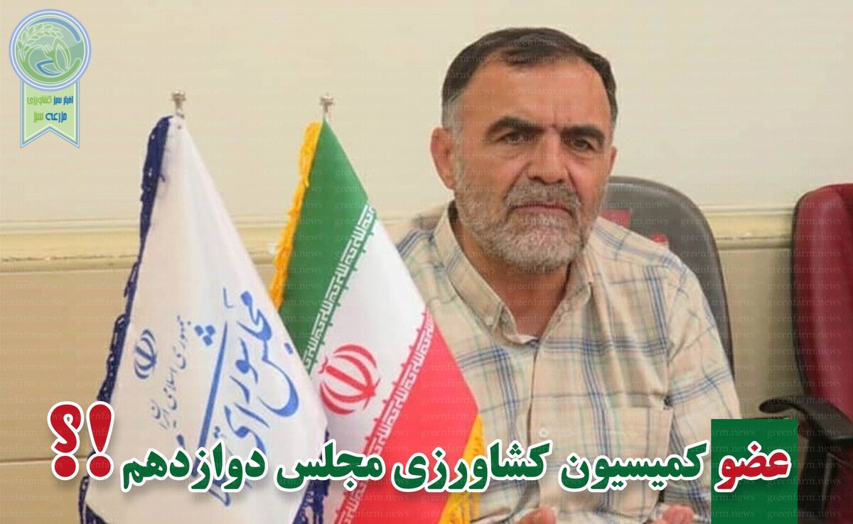 علی‌اکبر علیزاده راهی مجلس دوازدهم شد

