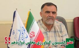 علی‌اکبر علیزاده راهی مجلس دوازدهم شد

